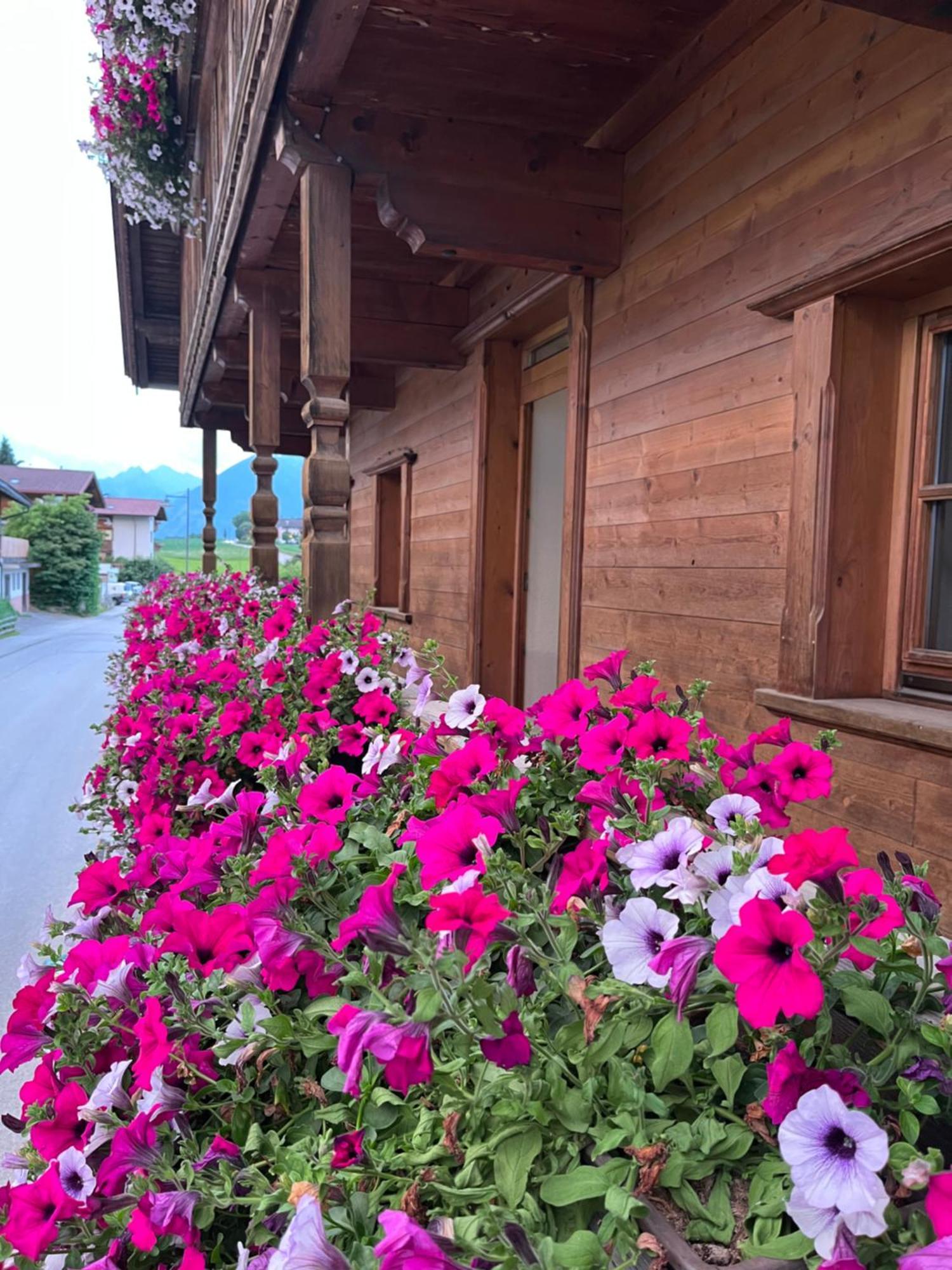Ferienwohnung Seppen Reith im Alpbachtal Kültér fotó